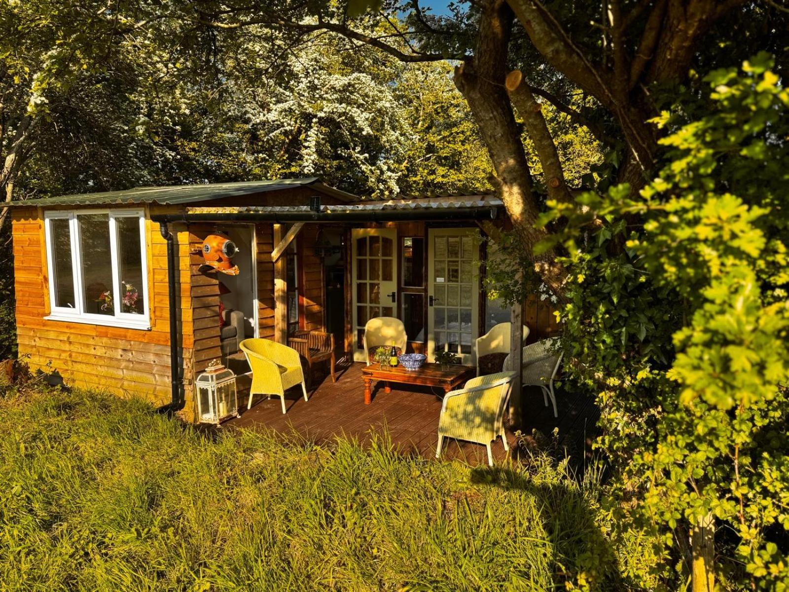 Bed and Breakfast Hollamoor Farm Barnstaple Habitación foto